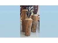 Set vazen teak h150cm, 120cm en 100cm - afbeelding 1 van  1