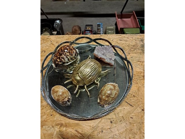 Shaal,shelp en kever - afbeelding 1 van  1