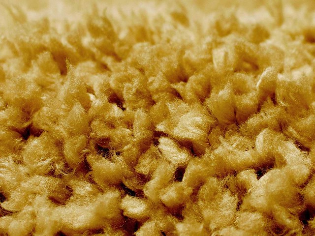 Shaggy, shag tapijt - 120 x 170 cm - mosterdgeel - afbeelding 3 van  4