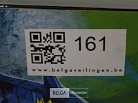 Shark op rc - afbeelding 5 van  5