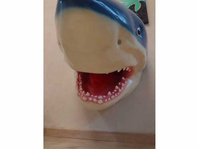 Shark - afbeelding 4 van  5