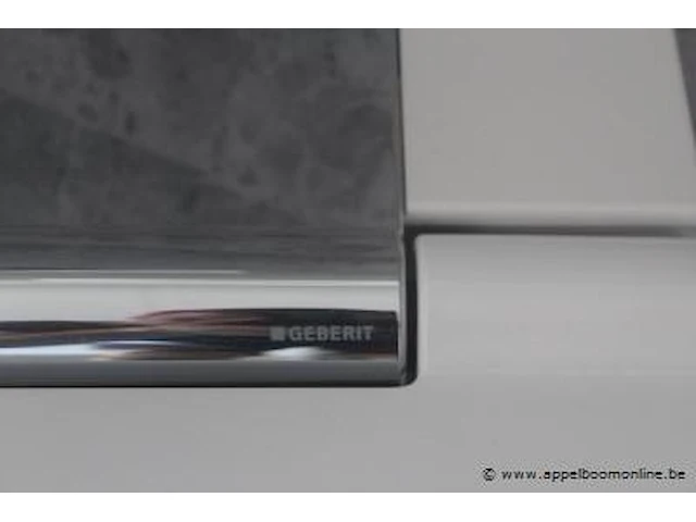 Showroom hangtoilet geberit - afbeelding 2 van  2