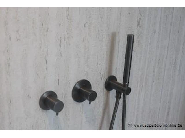 Showroom inloopdouche vv doucheplaat, glasplaat op rail en regendouche afm plm 140x90x240cm - afbeelding 2 van  3
