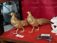 Siervogels - afbeelding 1 van  1