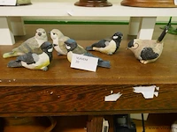 Siervogeltjes - afbeelding 1 van  1