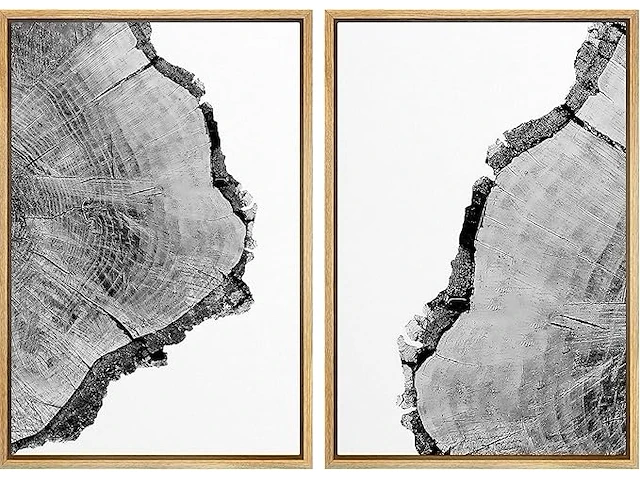 Signford canvas foto's, zwart-wit boom ring - afbeelding 1 van  2