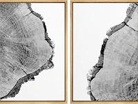 Signford canvas foto's, zwart-wit boom ring - afbeelding 1 van  2