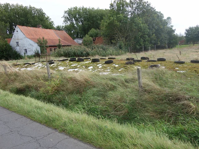Silovoeding - afbeelding 2 van  2