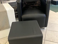 Skaien fauteuille - afbeelding 2 van  3