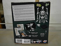 Skelet buki - afbeelding 1 van  3