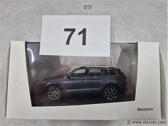 Skoda kodiaq - afbeelding 1 van  3