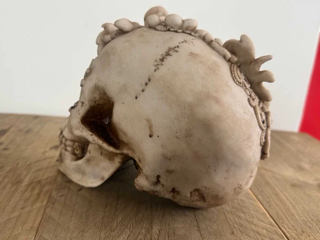 Skull ivoorstructuur h16cm - afbeelding 3 van  5