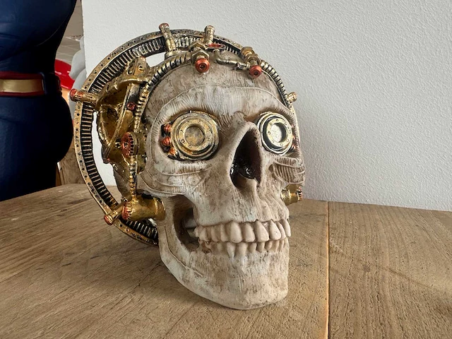 Skull wetenschap steampunk h17cm - afbeelding 1 van  4