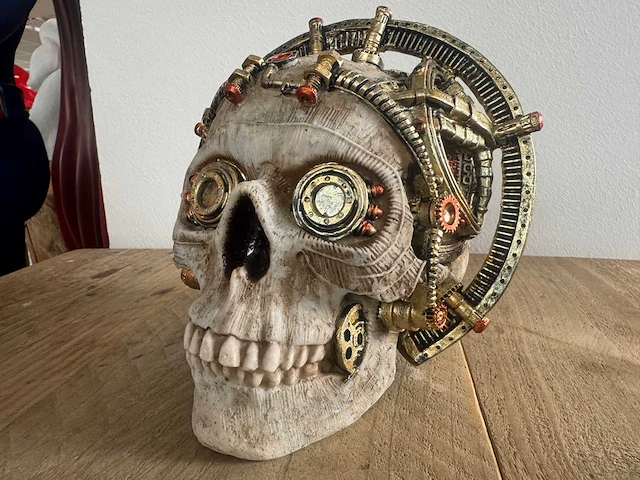 Skull wetenschap steampunk h17cm - afbeelding 2 van  4