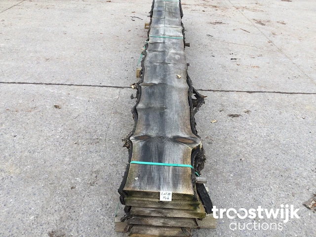 Slangenden of apenboom planken - afbeelding 4 van  8