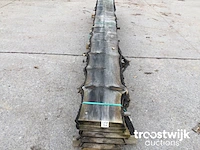 Slangenden of apenboom planken - afbeelding 4 van  8