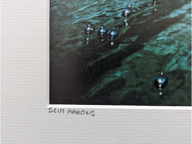 Slim aarons (1916-2006) - kerst zwemmen - afbeelding 4 van  9