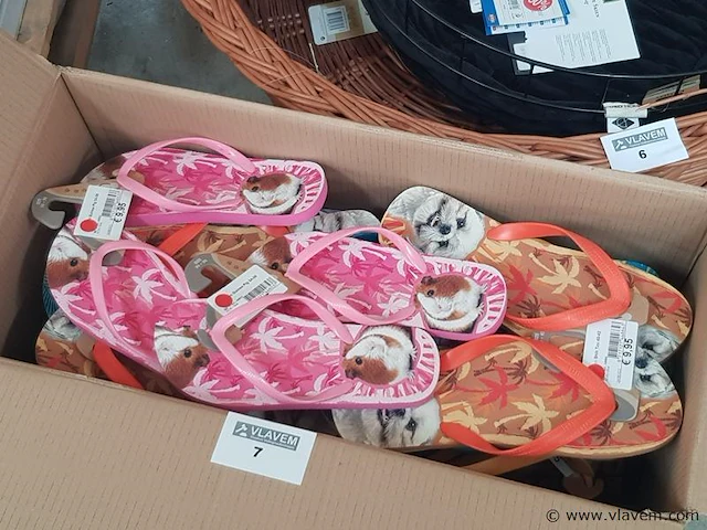 Slippers - afbeelding 1 van  1