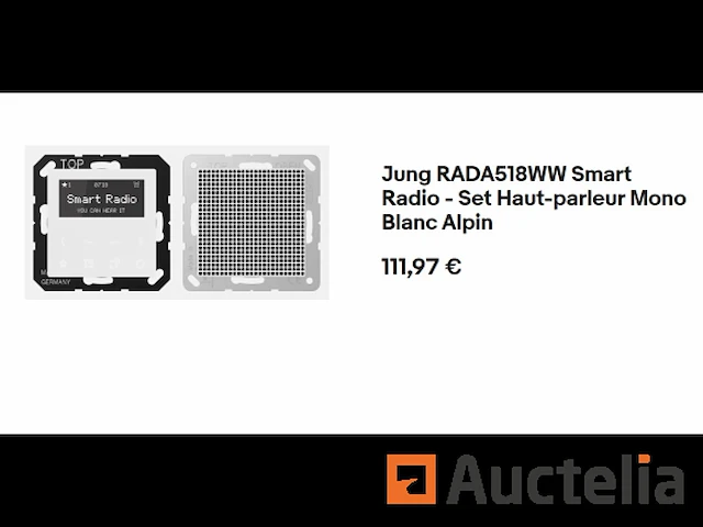 Smart radio - jung alpine white mono luidsprekerset rada518ww - afbeelding 1 van  5