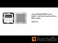 Smart radio - jung alpine white mono luidsprekerset rada518ww - afbeelding 1 van  5