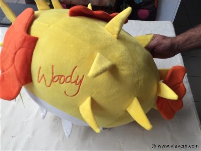 Smiley woody - afbeelding 3 van  3