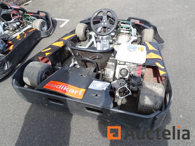 Sodi 160 cc karting - kinderen van 8 tot 12 jaar - motor te herstellen - afbeelding 7 van  8