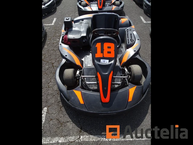 Sodi 270 cc karting - honda motor - afbeelding 1 van  5