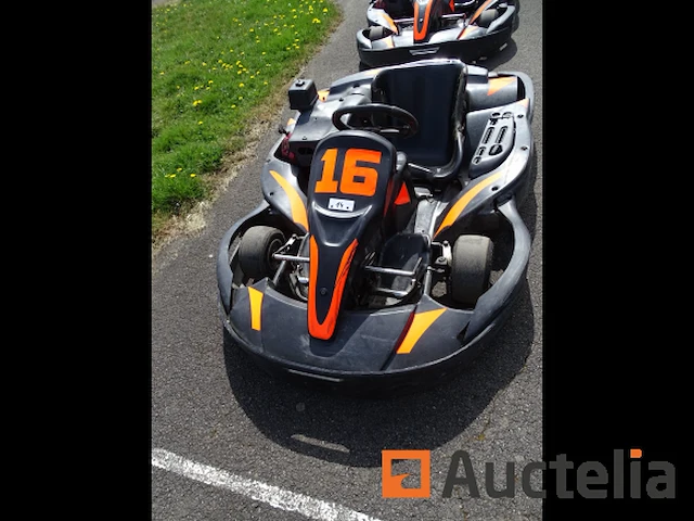 Sodi 270 cc karting - honda motor - afbeelding 1 van  4