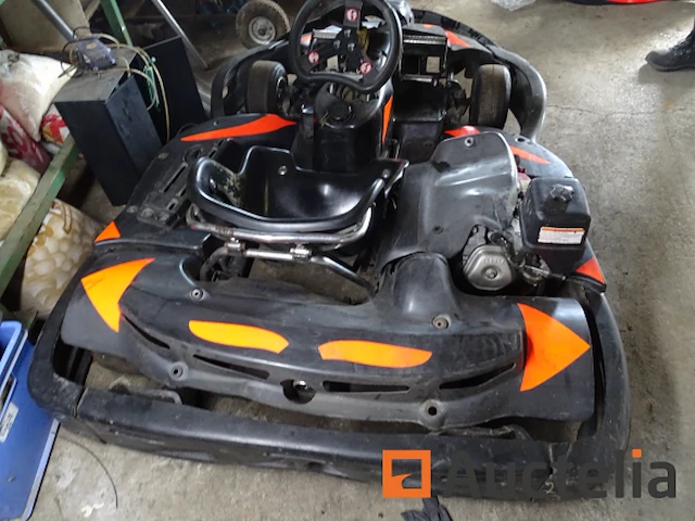 Sodi carbon karting 270 cc - honda motor - afbeelding 5 van  6