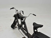Solex s4800 tandem - afbeelding 19 van  19