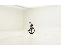Solex s4800d - afbeelding 9 van  16
