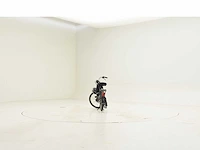 Solex s4800d - afbeelding 18 van  19