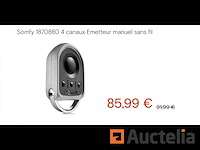 Somfy garagedeur afstandsbediening of poort 1870880 - afbeelding 1 van  2