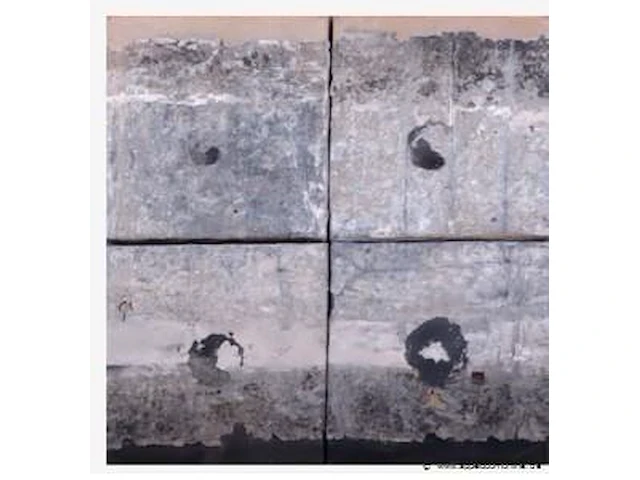 Sophie cauvin (1968). la transformation i, ii, iii et iv. technique mixte signée au dos. quatre pendants. dimensions : 50 x 45 cm - afbeelding 1 van  1
