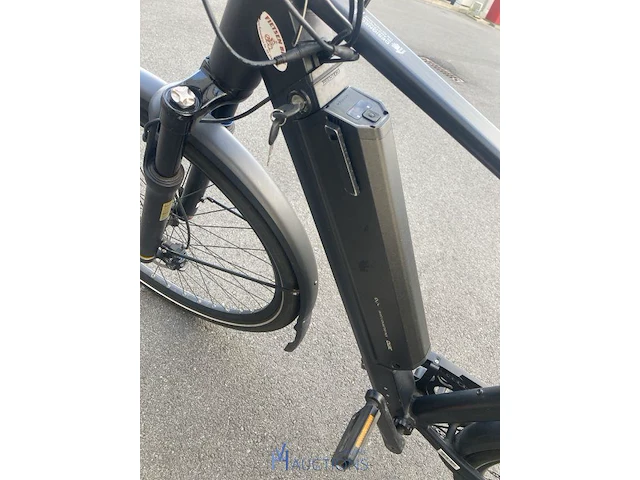 Speedpedelec qwic rd11s - 2019 - afbeelding 13 van  17