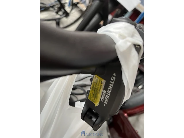 Speedpedelec stromer - 2019 - afbeelding 3 van  17