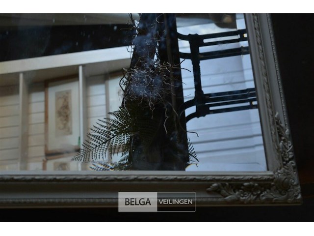 Spiegel 60x84 cm - afbeelding 3 van  3