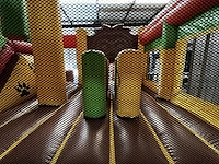 Springkasteel jungle - afbeelding 9 van  9