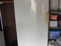 Staande diepvriezer miele met inhoud - afbeelding 1 van  3