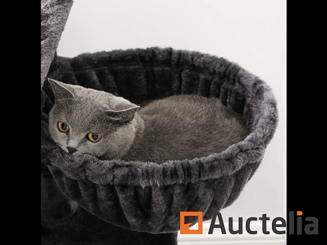 Stabiele kat as, speeltoren 138 cm - afbeelding 6 van  8