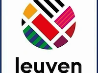 Stad leuven - openbare werken rijbaan kussens