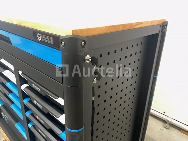 Stahlgruppe jumbo 13 lades gereedschapswagen - afbeelding 4 van  25