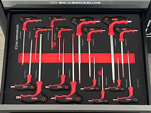 Stahlgruppe sg10-25 gevulde gereedschapswagen - afbeelding 11 van  23