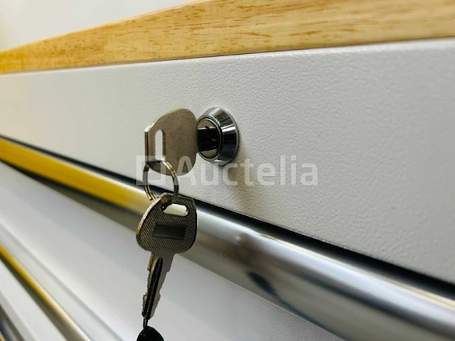 Stahltech 387-delig gereedschapswagen - afbeelding 4 van  23