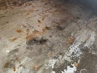 Stalen kapelcontainer, cap 20m3 (g629), technicas bj 2012 - afbeelding 4 van  4