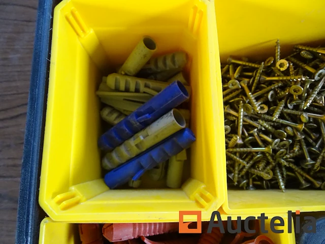 Stanley box met verschillend bevestigingsmiddelen - afbeelding 6 van  12