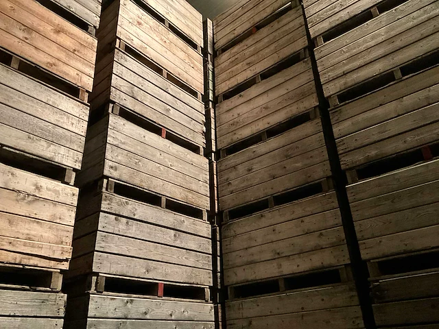 Stapelkrat (100x) - afbeelding 2 van  6