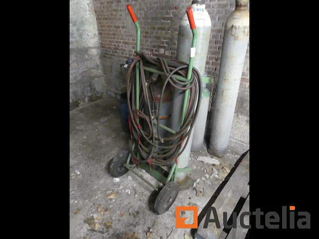 Steekvlam - afbeelding 4 van  9