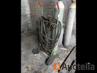 Steekvlam - afbeelding 4 van  9