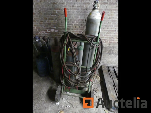 Steekvlam - afbeelding 5 van  9
